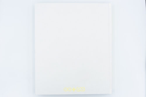 Light & Space, Walther konig, Peinture Fraiche