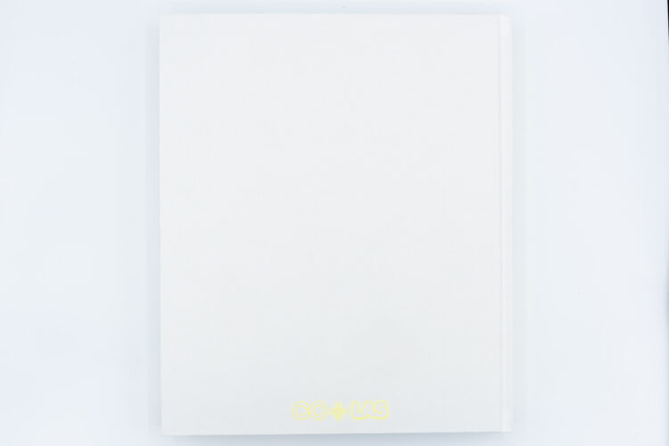 Light & Space, Walther konig, Peinture Fraiche