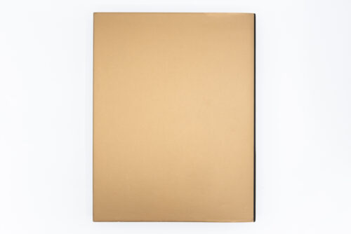 Revelations - Diane Arbus, Aperture, Peinture Fraiche