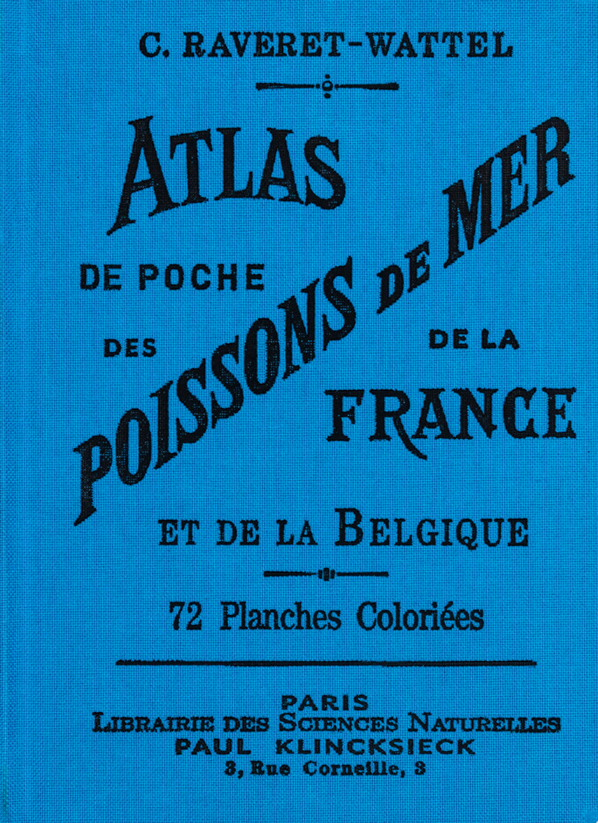 , Atlas De Poche Des Poissons De Mer De La France Et De La Belgique