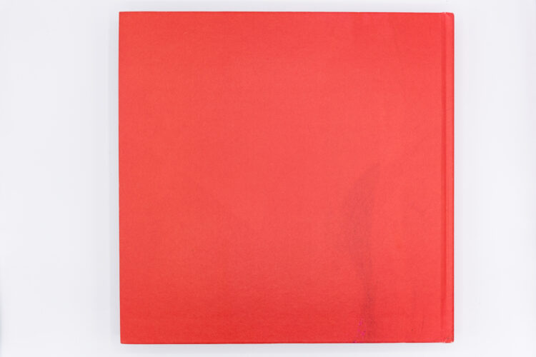 Misr. L’Égypte de Denis Dailleux, Le Bec En L'air, Peinture Fraiche