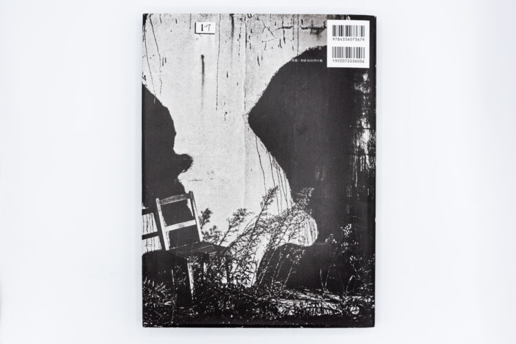 Avant-Garde Rising: The Photographic Vanguard in Modern Japan - Jelena Stojković, Satomi Fujimura, Kokushokankokai, Peinture Fraiche