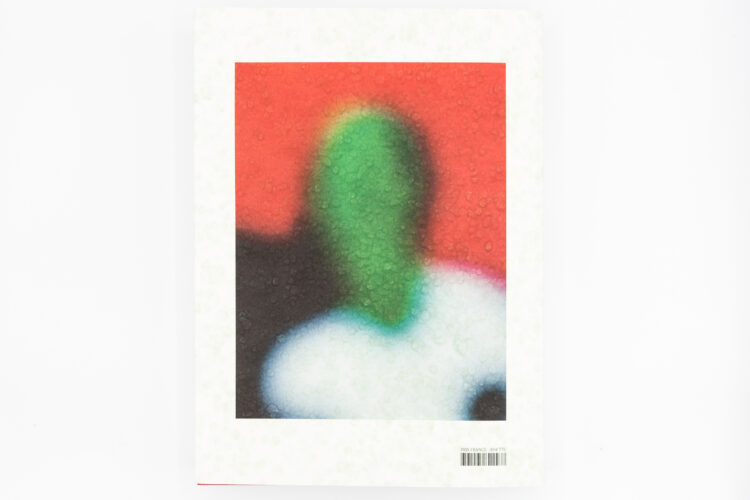 Flou : Une Histoire Photographique - Pauline Martin, Delpire, Peinture Fraiche