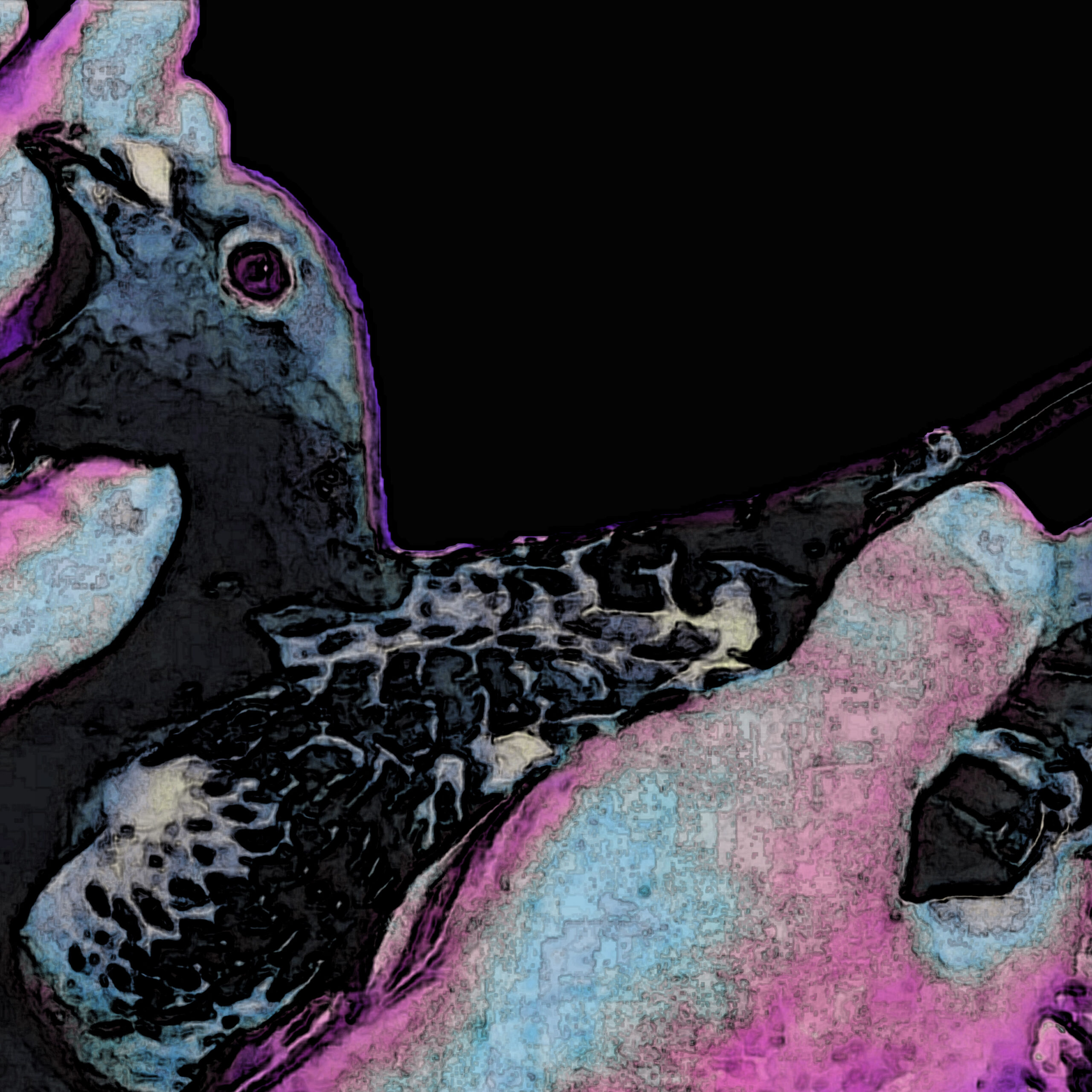 edition.psd n°4 That’s not my pigeon – moilesautresart x Anastasia Simonin