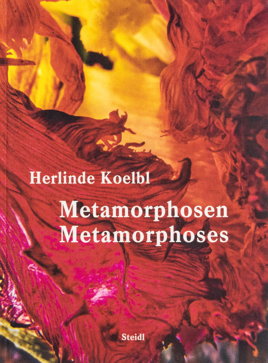 , Metamorphoses