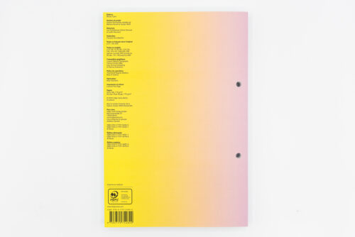 Écrits de Colère - Miriam Cahn, Hatje Cantz, Peinture Fraiche