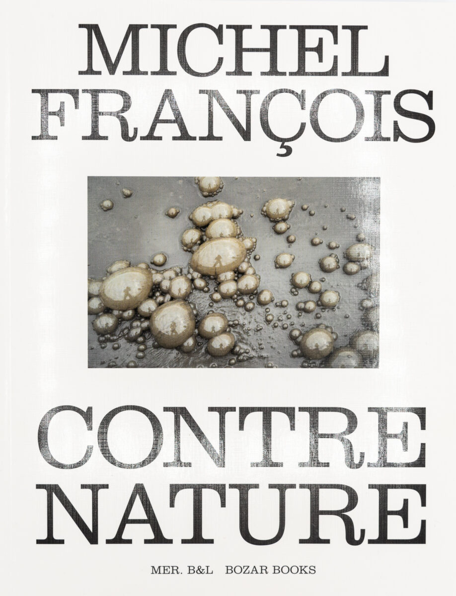 , Michel François: Contre nature