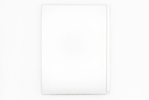 Empire Roller Disco - Patrick Pagnano, Anthology, Peinture Fraiche