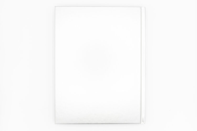 Empire Roller Disco - Patrick Pagnano, Anthology, Peinture Fraiche