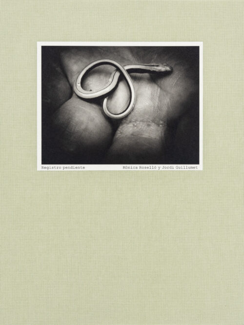 Couverture du livre Registro pendiente - Mònica Roselló, Jordi Guillumet, Ediciones Anómalas, Peinture Fraiche