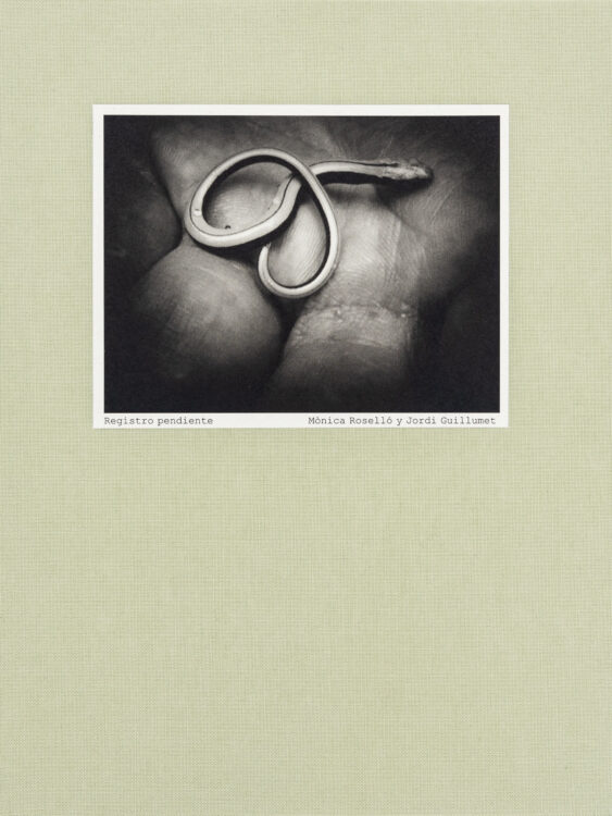 Couverture du livre Registro pendiente - Mònica Roselló, Jordi Guillumet, Ediciones Anómalas, Peinture Fraiche