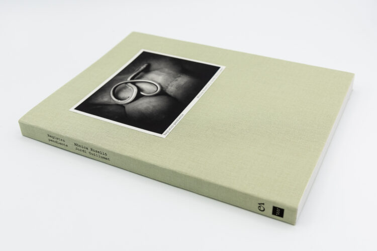 Registro pendiente - Mònica Roselló, Jordi Guillumet, Ediciones Anómalas, Peinture Fraiche