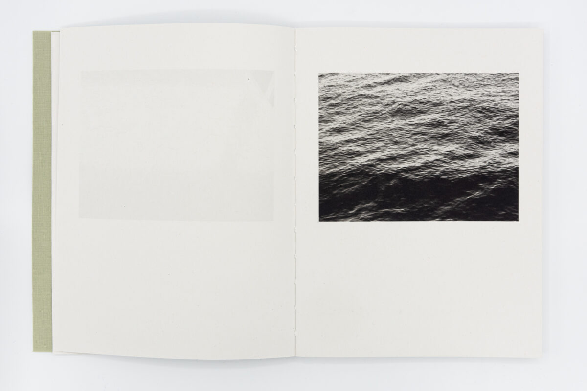 Registro pendiente - Mònica Roselló, Jordi Guillumet, Ediciones Anómalas, Peinture Fraiche