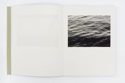 Registro pendiente - Mònica Roselló, Jordi Guillumet, Ediciones Anómalas, Peinture Fraiche
