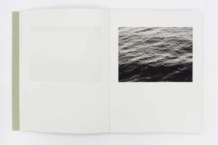 Registro pendiente - Mònica Roselló, Jordi Guillumet, Ediciones Anómalas, Peinture Fraiche