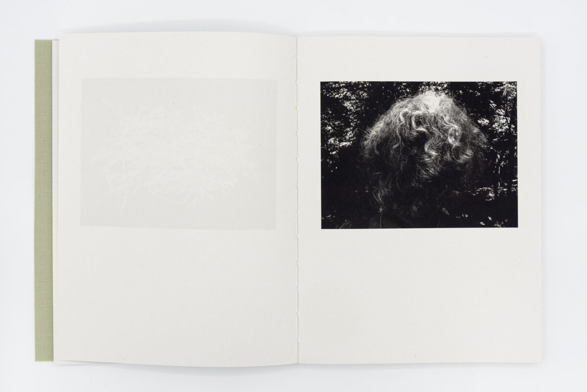 Registro pendiente - Mònica Roselló, Jordi Guillumet, Ediciones Anómalas, Peinture Fraiche