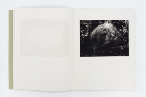 Registro pendiente - Mònica Roselló, Jordi Guillumet, Ediciones Anómalas, Peinture Fraiche