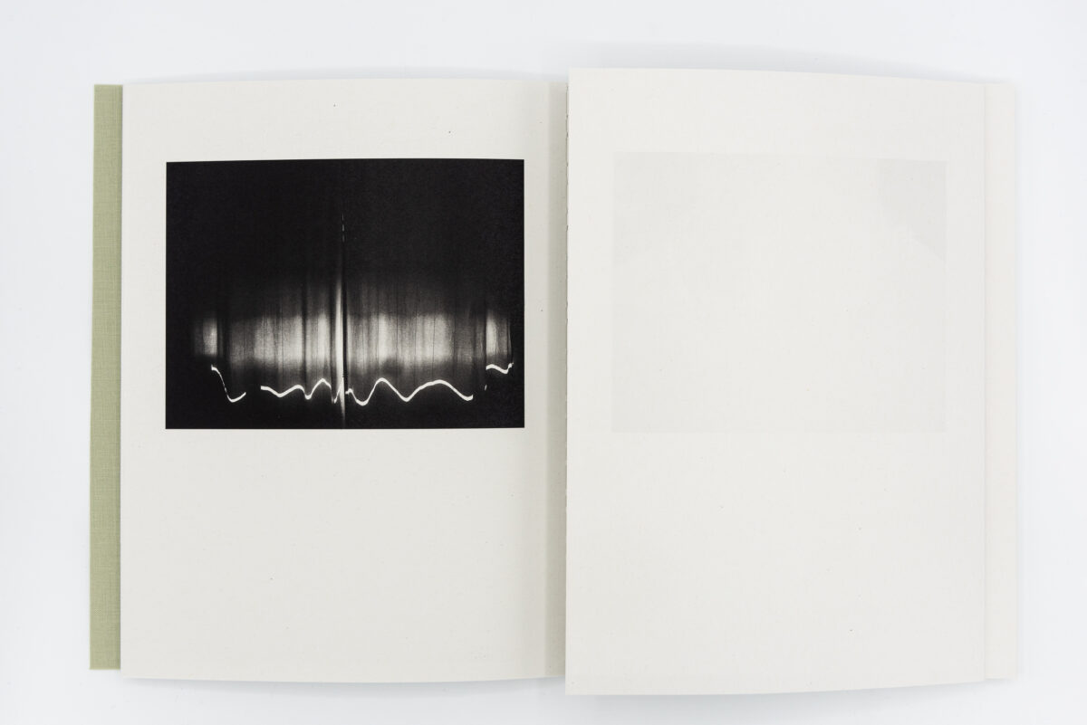 Registro pendiente - Mònica Roselló, Jordi Guillumet, Ediciones Anómalas, Peinture Fraiche