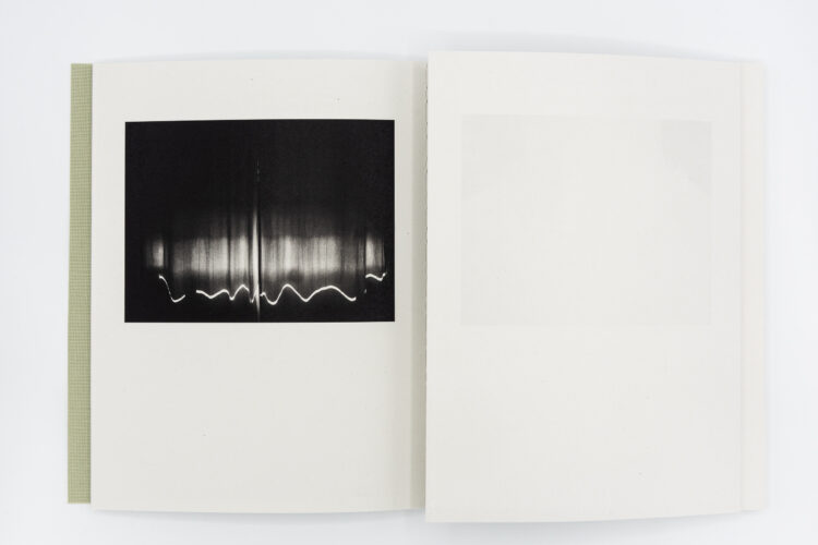 Registro pendiente - Mònica Roselló, Jordi Guillumet, Ediciones Anómalas, Peinture Fraiche