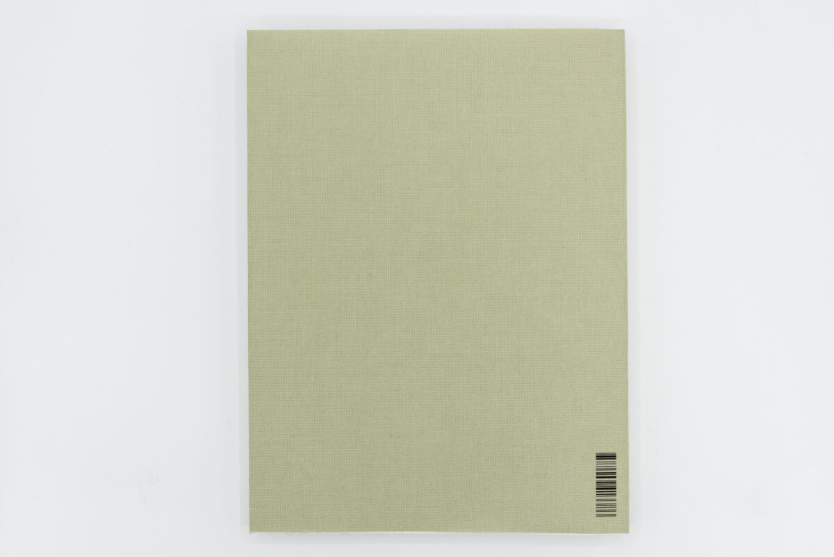 Registro pendiente - Mònica Roselló, Jordi Guillumet, Ediciones Anómalas, Peinture Fraiche