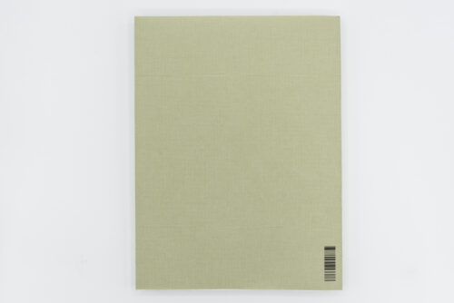 Registro pendiente - Mònica Roselló, Jordi Guillumet, Ediciones Anómalas, Peinture Fraiche