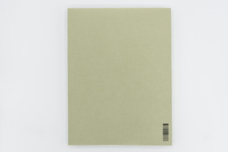 Registro pendiente - Mònica Roselló, Jordi Guillumet, Ediciones Anómalas, Peinture Fraiche