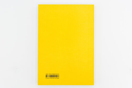 Weather Reports You - Roni Horn, Steidl, Peinture Fraiche