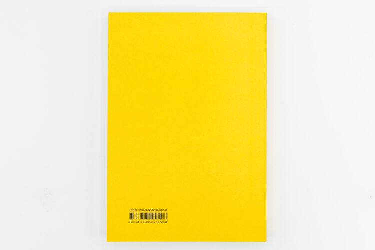 Weather Reports You - Roni Horn, Steidl, Peinture Fraiche