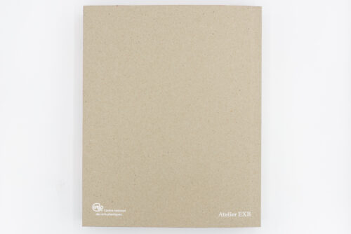 La collection du Centre national des arts plastiques - Béatrice Salmon, Nathalie Chapuis, EXB / CNAP, Peinture Fraiche