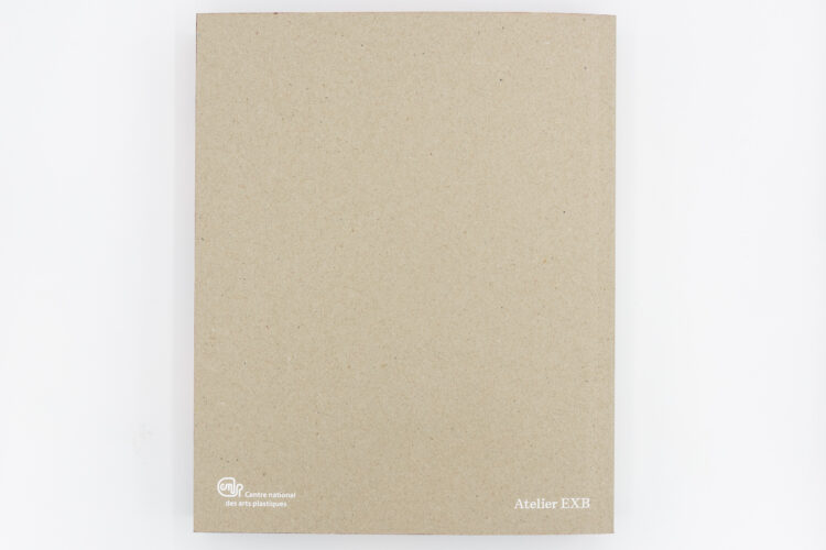 La collection du Centre national des arts plastiques - Béatrice Salmon, Nathalie Chapuis, EXB / CNAP, Peinture Fraiche