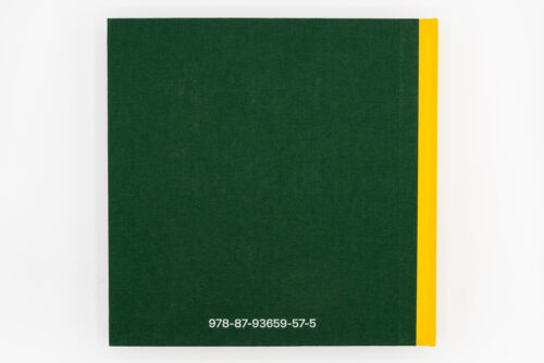 Mr. Remember - Alex Da Corte, Dap Artbook, Peinture Fraiche