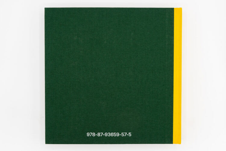 Mr. Remember - Alex Da Corte, Dap Artbook, Peinture Fraiche