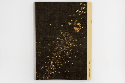 Feræ - Aurélie Scouarnec, Rue Du Bouquet, Peinture Fraiche