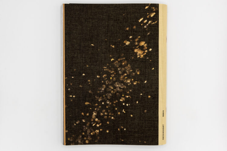 Feræ - Aurélie Scouarnec, Rue Du Bouquet, Peinture Fraiche