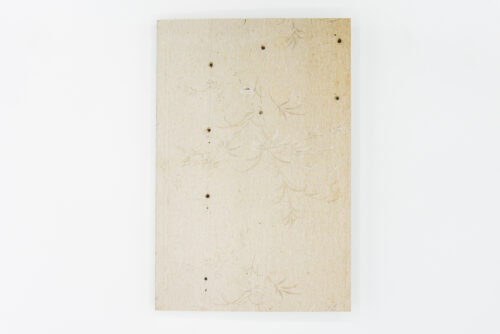 Familiarités - Isabelle Detournay, ARP2 Editions, Peinture Fraiche