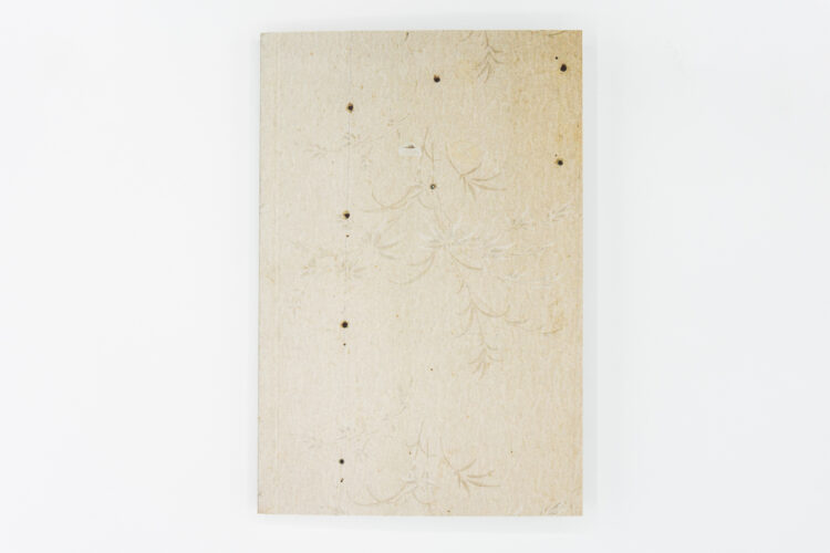 Familiarités - Isabelle Detournay, ARP2 Editions, Peinture Fraiche