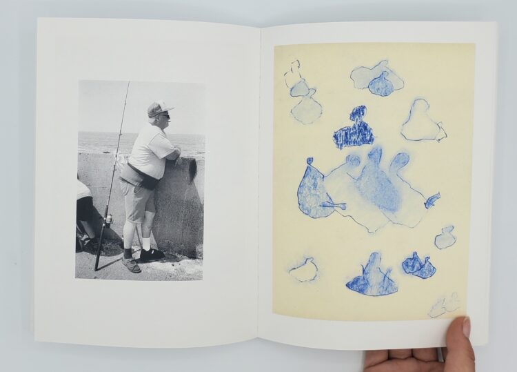 Photoraphies de pages tirées de Arnordir - Florian Maricourt, Phtoggos, Peinture Fraîche.