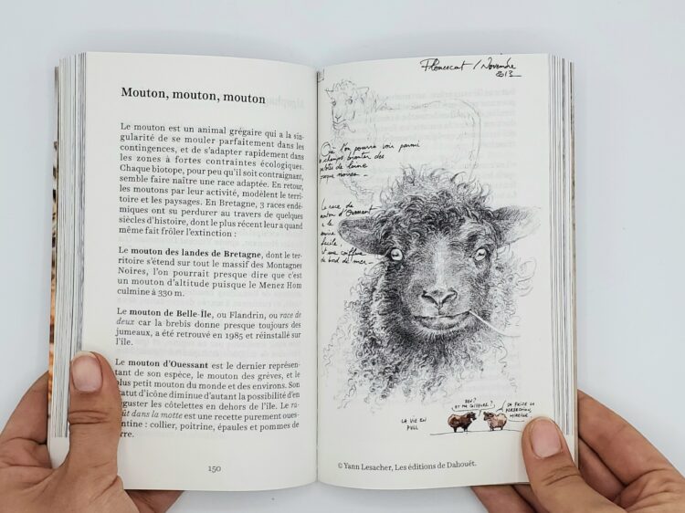 Photographie de pages tirées de Fragment de cuisine - Philippe Emanuelli, Bernique Editions. Peinture Fraîche.