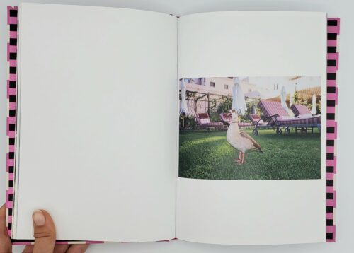 Photographie de pages tirées de MOUNT NELSON - Rosie Marks, RVBB Books. Peinture Fraîche.