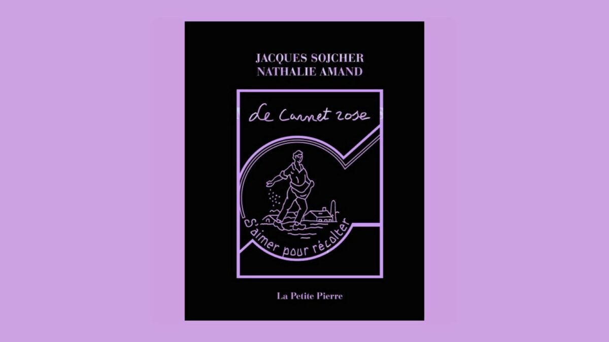 Couverture de Le Carnet Rose - Jacques Sojcher, édition la Pierre D'alun. Peinture Fraîche.