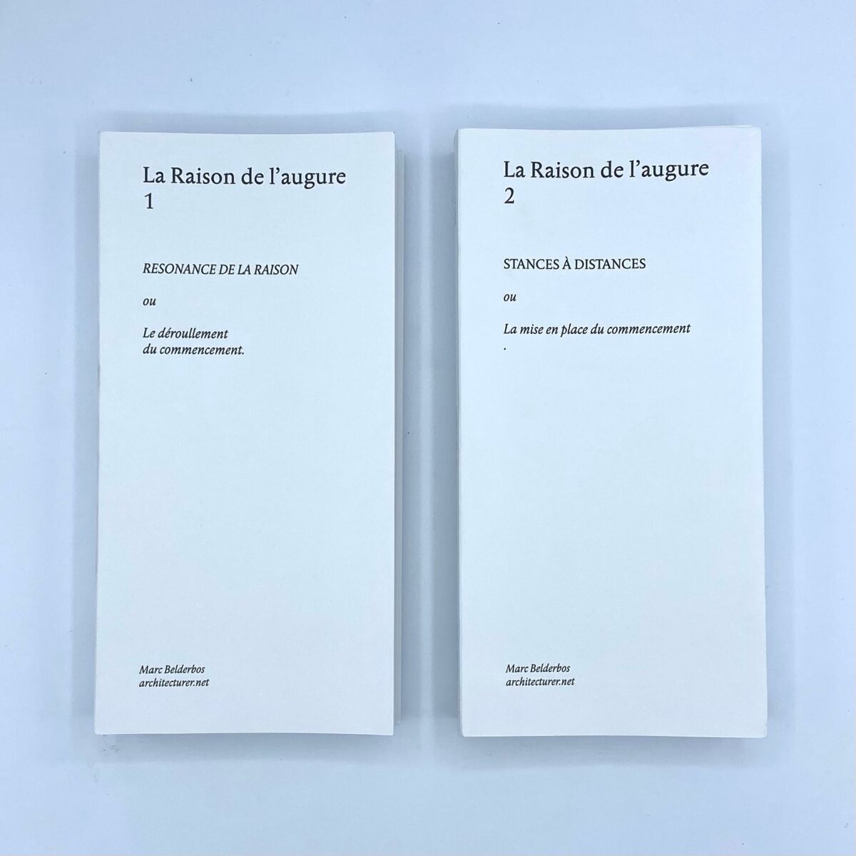 Photographie de pages tirés de La Raison de l’augure, Marc Belderbos, 2024. Peinture fraîche