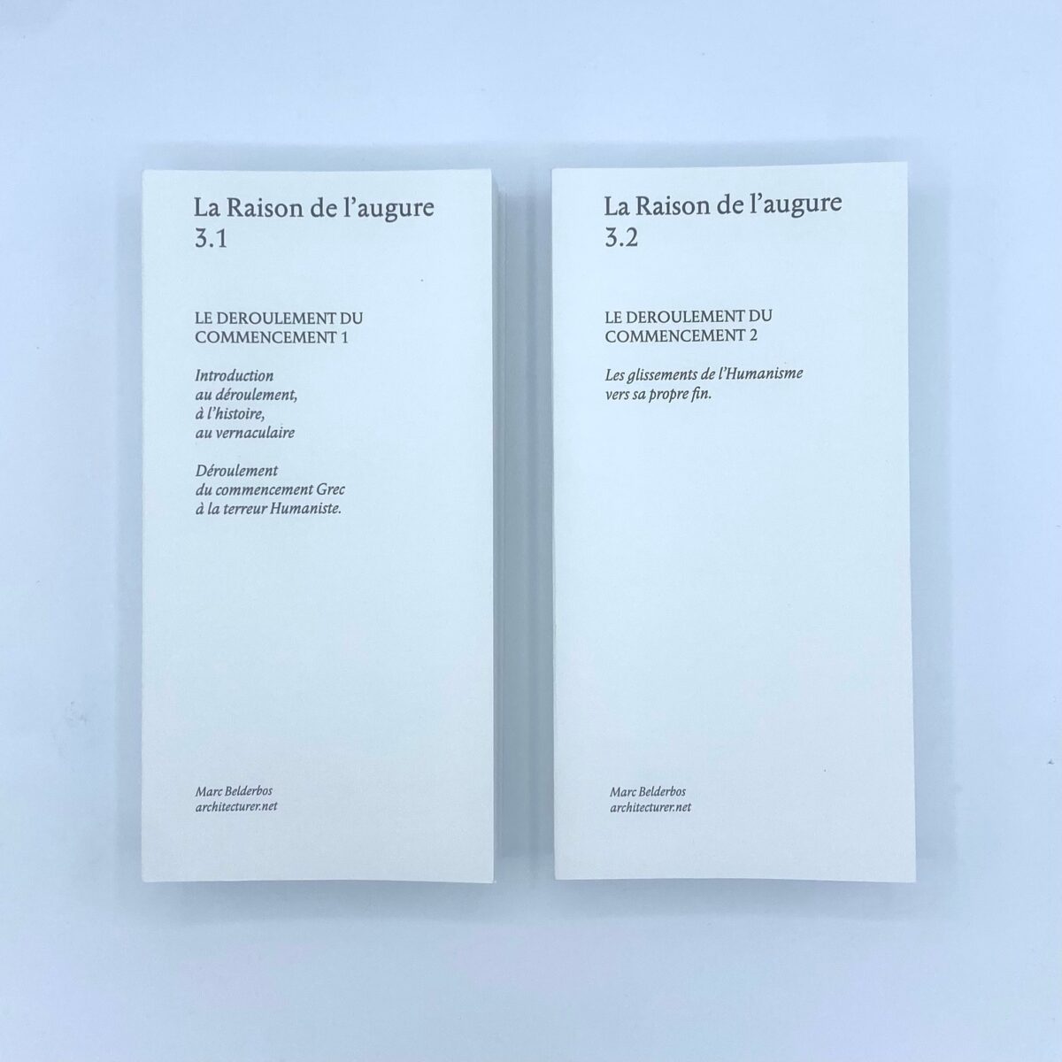 Photographie de pages tirés de La Raison de l’augure, Marc Belderbos, 2024. Peinture fraîche