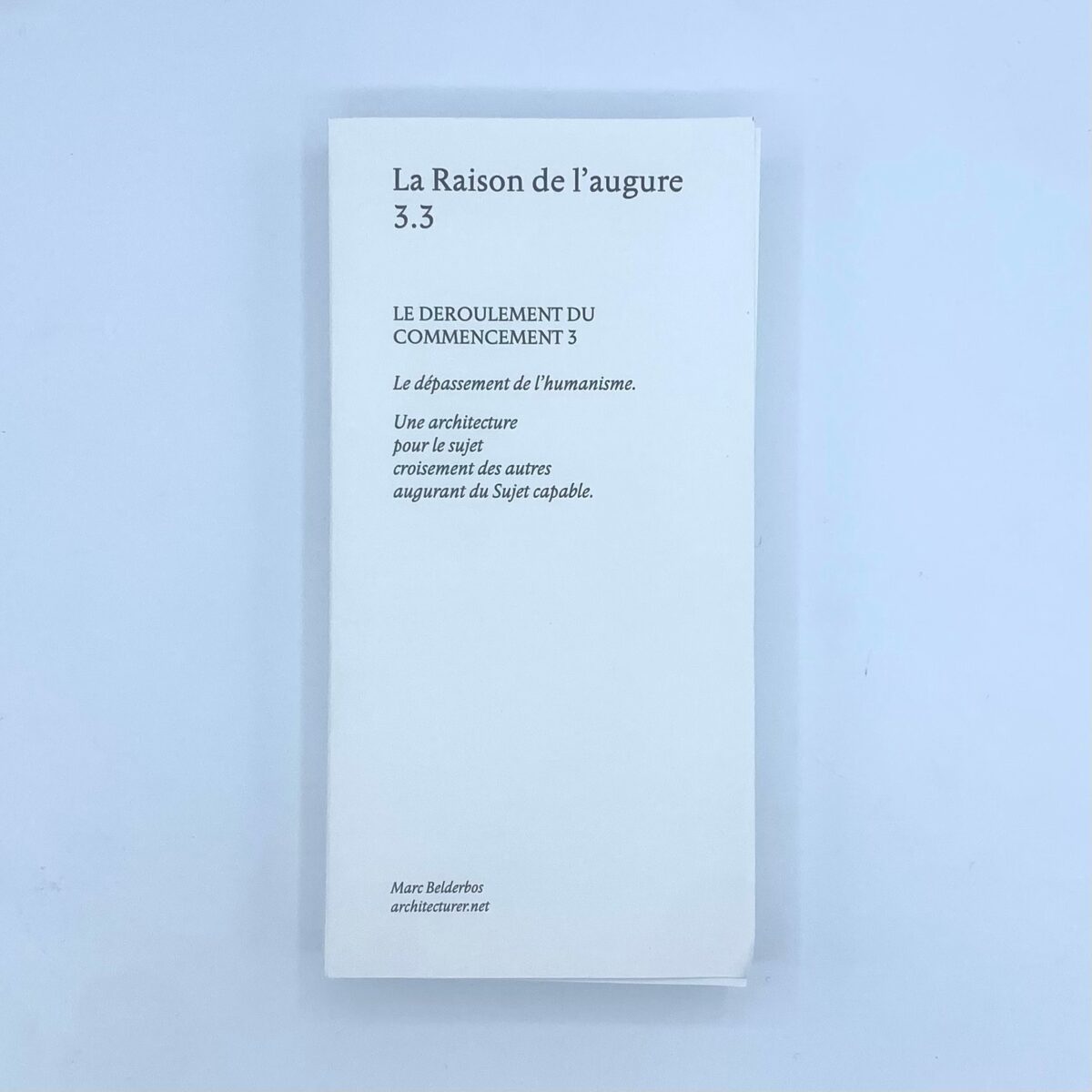 Photographie de pages tirés de La Raison de l’augure, Marc Belderbos, 2024. Peinture fraîche