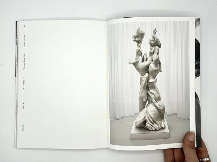 Photographie de pages tirées de Marit Kathriner IN-SIDE, RSVP edition. Peinture Fraiche.