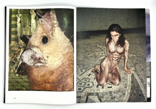 Photographie de pages tirées de